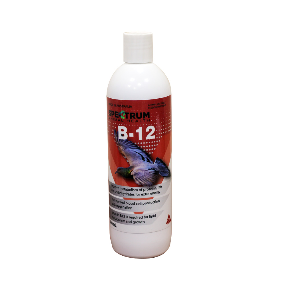 B-12 500ml فيتامين بي 12